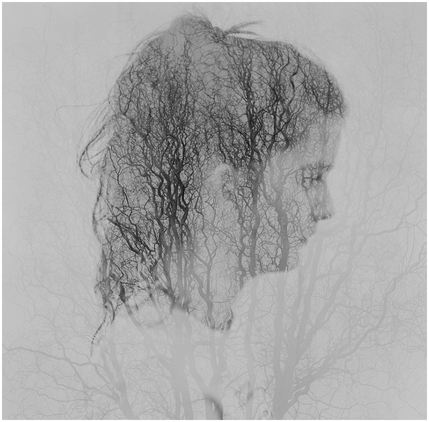 WYWH_Phyllis_Meredith_Week17_HumanNature_Microcord_Camera_Connecticut