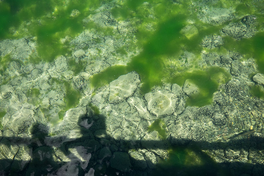 WYWH-karenporter-shadows-and-reflections-skaneateles-lake-newyork-wk24