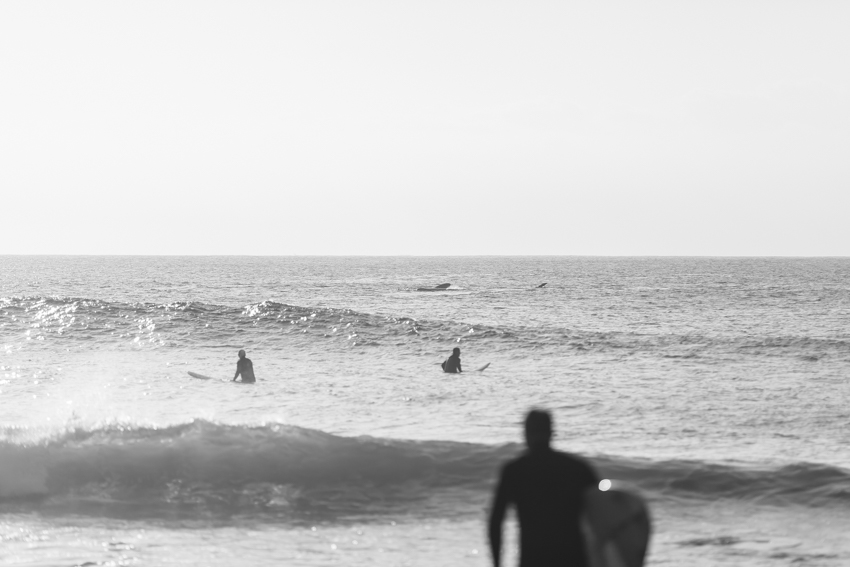 WYWH-surfers and whale-kennett river-australia-Megan-Gardner-Wk34