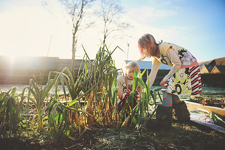 Kirsty-Larmour-Week1-frosty-gardening-near-Cambridge-England