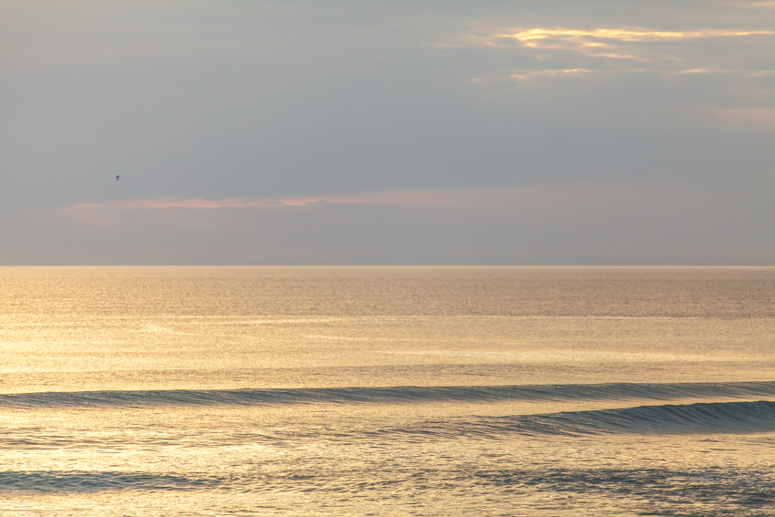 WYWH-Megan-Gardner-In Flight over the Ocean, Gunnamatta, Australia-Wk1