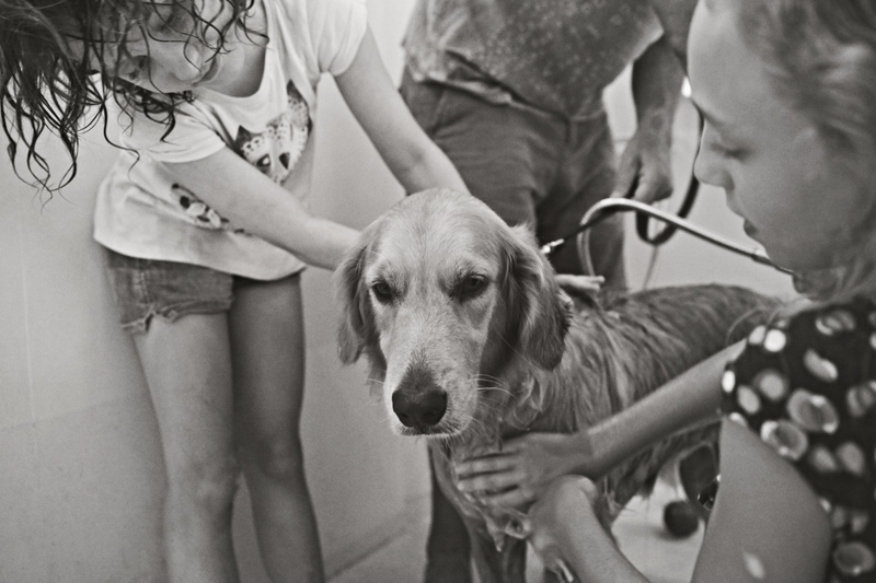 Rowe Timson-Week09-dog washing-Bali