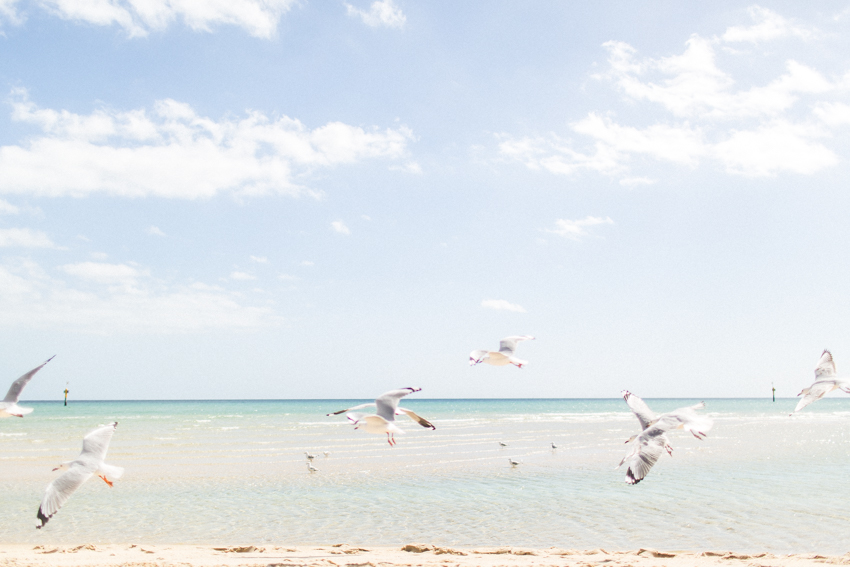 WYWH-In flight in Autumn-Seaford, Australia-Megan-Gardner-Wk10