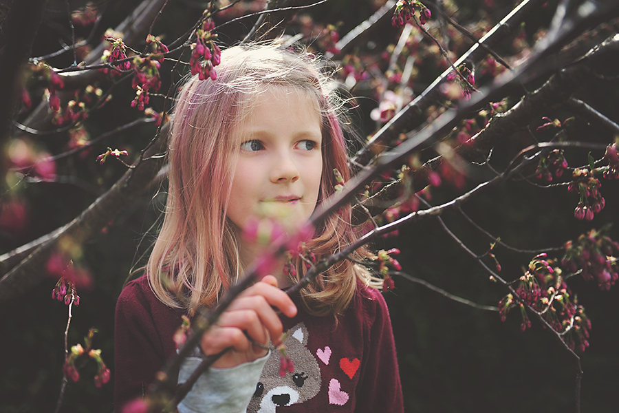 Kirsty-Larmour-Week14-blossom buds and lovehearts_France