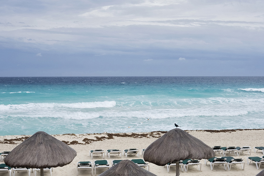 week52 pamelajoye - a bird the beach and the sky - here's to another year of this- mexico