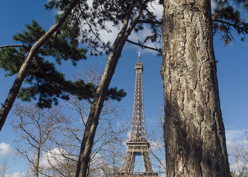 chloelodge_visiting an old friend _Paris wk6