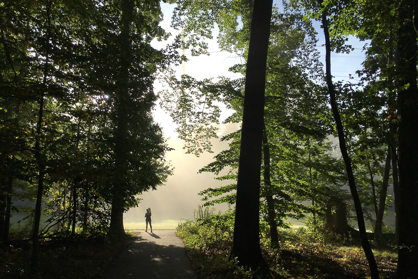 nicolaberry_the-school-run_new-jersey