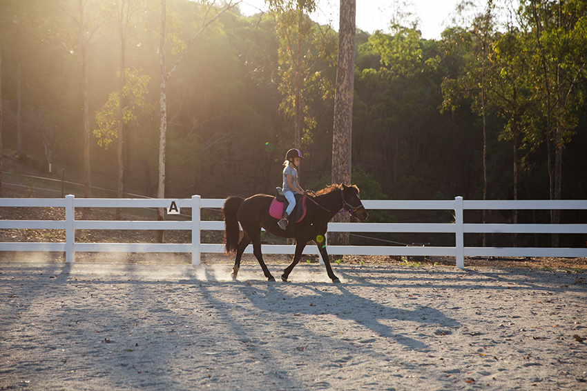 amandafraser_horseridinglessons_brisbane_wk44