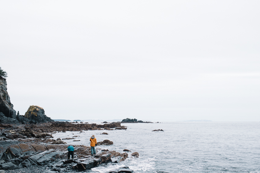 06-breannapeterson-tidepooling-alaska