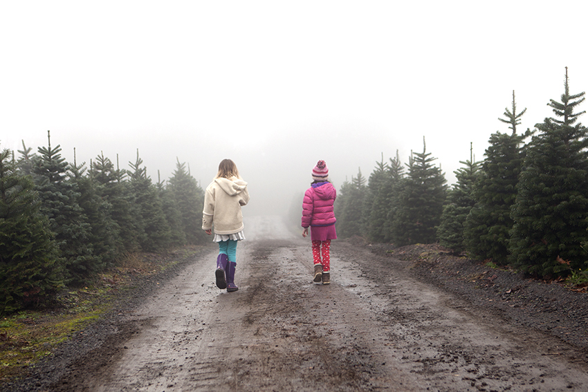 meghanhof-christmas-tree-hunt-oregon