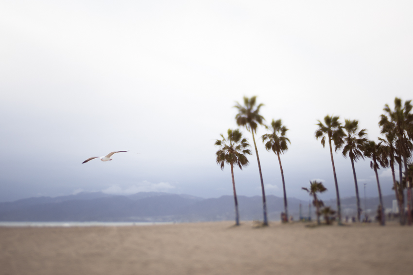 DebSchwedhelm-VeniceBeach-California