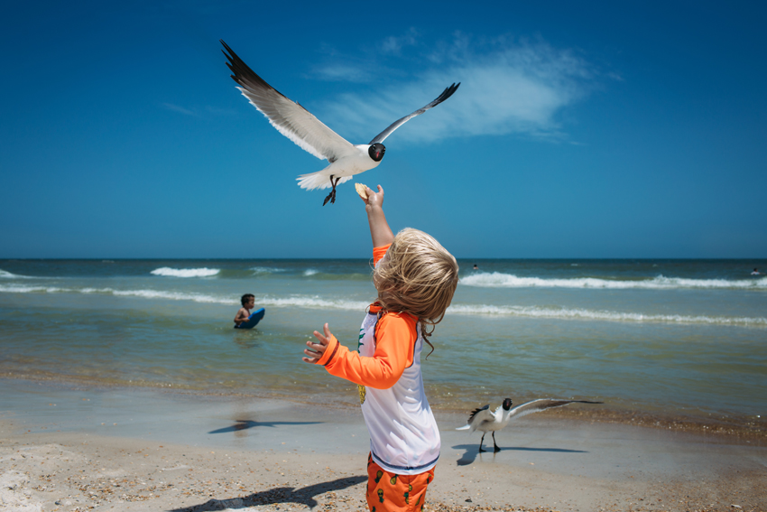 Amanda-ODonoughue-Sam and the gull-Apalachicola-FL