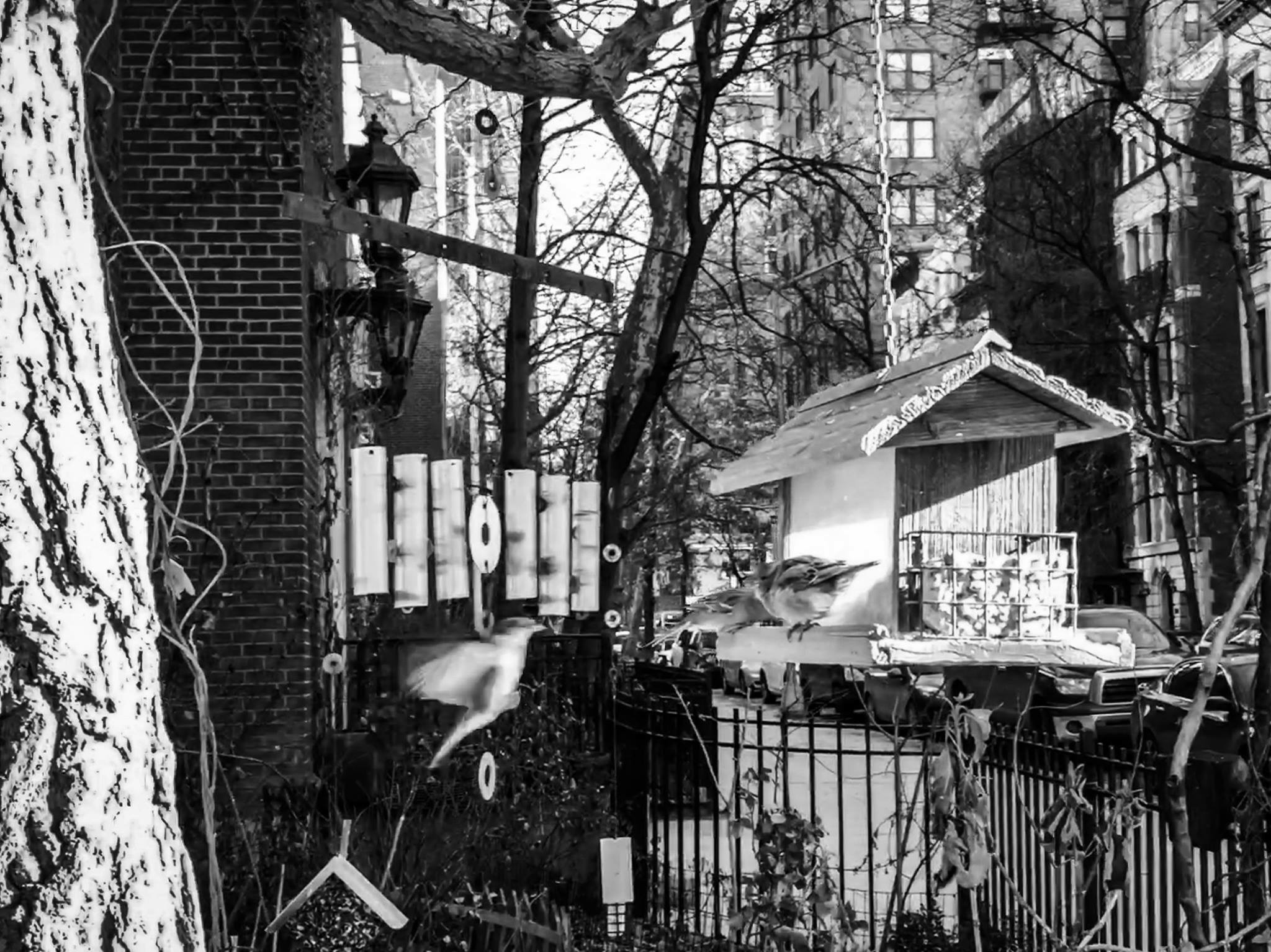 colleen_putman_neighborhood_bird_house_manhattan