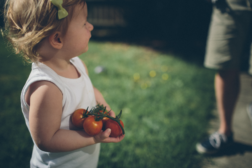 The first tomatoes-Frankston, Australia-Megan-Gardner-Wk5