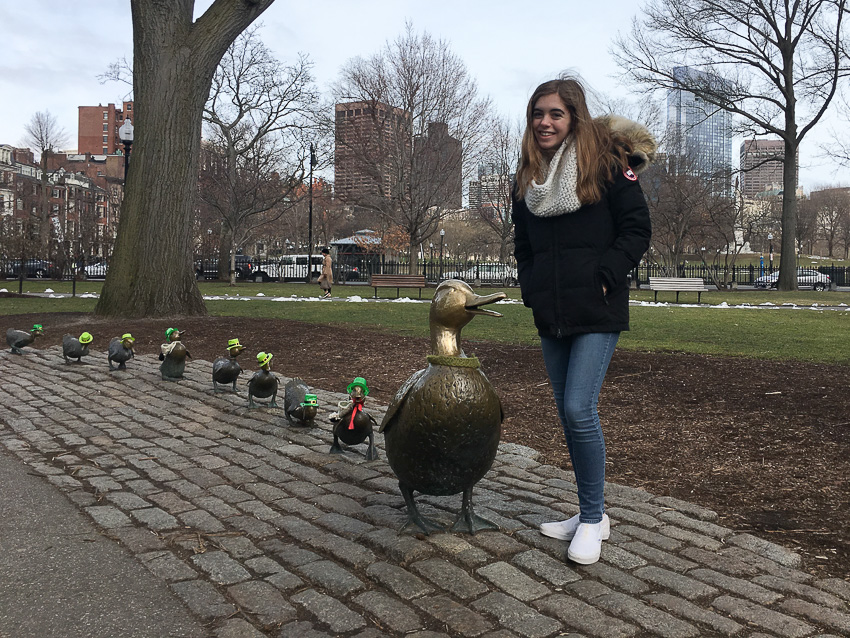 nicolaberry_make way for (Irish) ducklings_Boston_Massachusetts