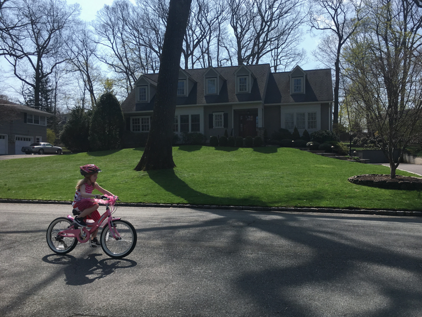 nicolaberry_Birthday Bike_New Jersey