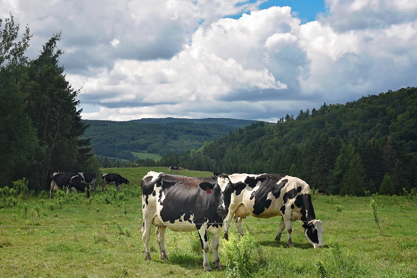 Vermont July 2018