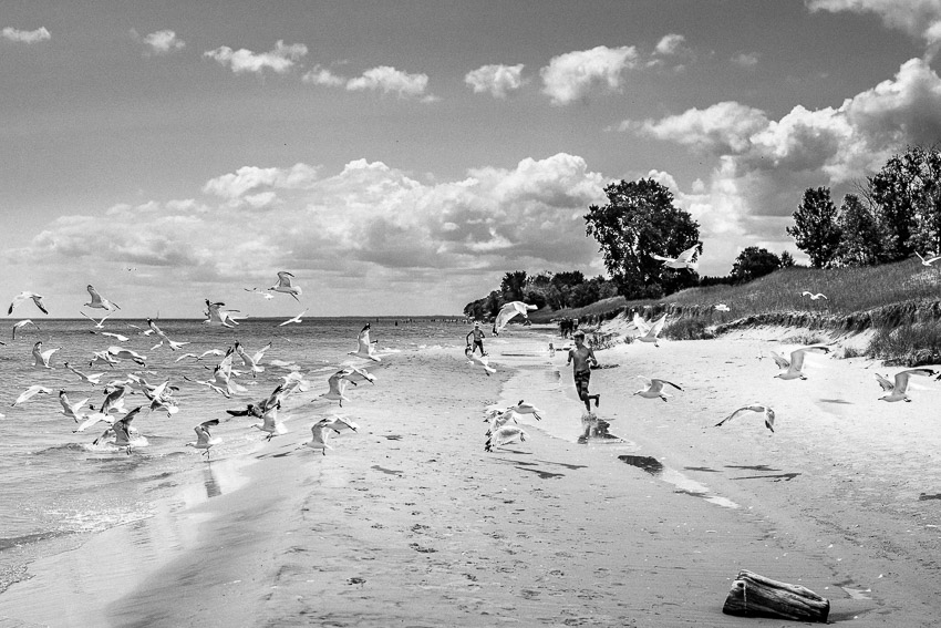 Wild and Free, Lake Michigan